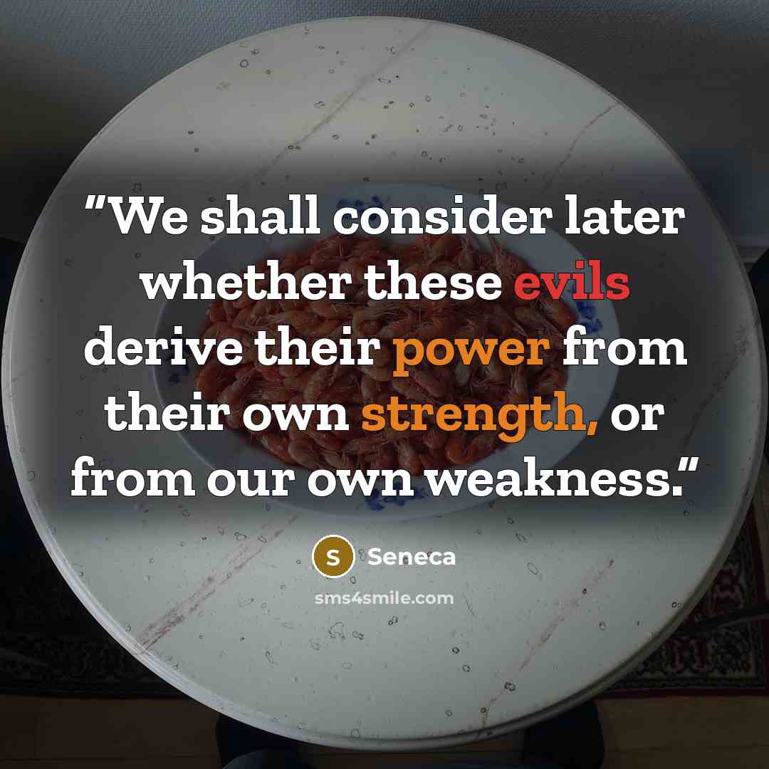 “We shall consider later whether these evils derive their power from their own strength, or from our own weakness.” quote by Seneca