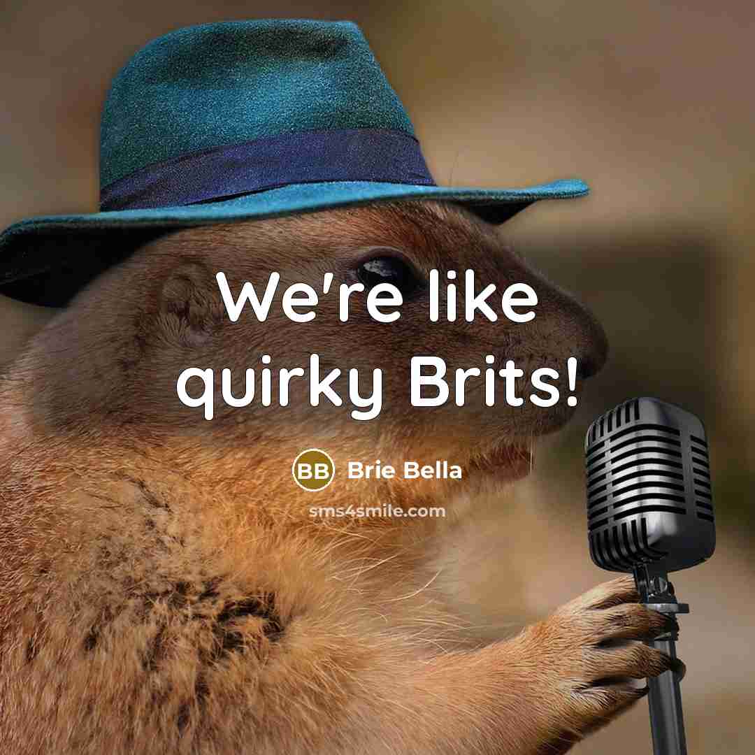 “We're like quirky Brits!” quote by Brie Bella