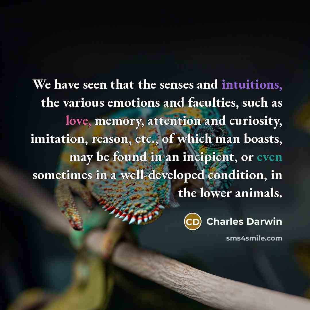 “We have seen that the senses and intuitions, the various emotions and faculties, such as love, memory, attention and curiosity, imitation, reason, etc., of which man boasts, may be found in an incipient, or even sometimes in a well-developed condition, in the lower animals.” quote by Charles Darwin