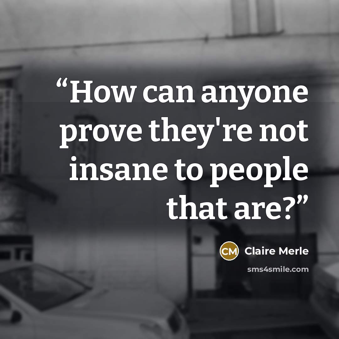 “How can anyone prove they're not insane to people that are?” quote by Claire Merle