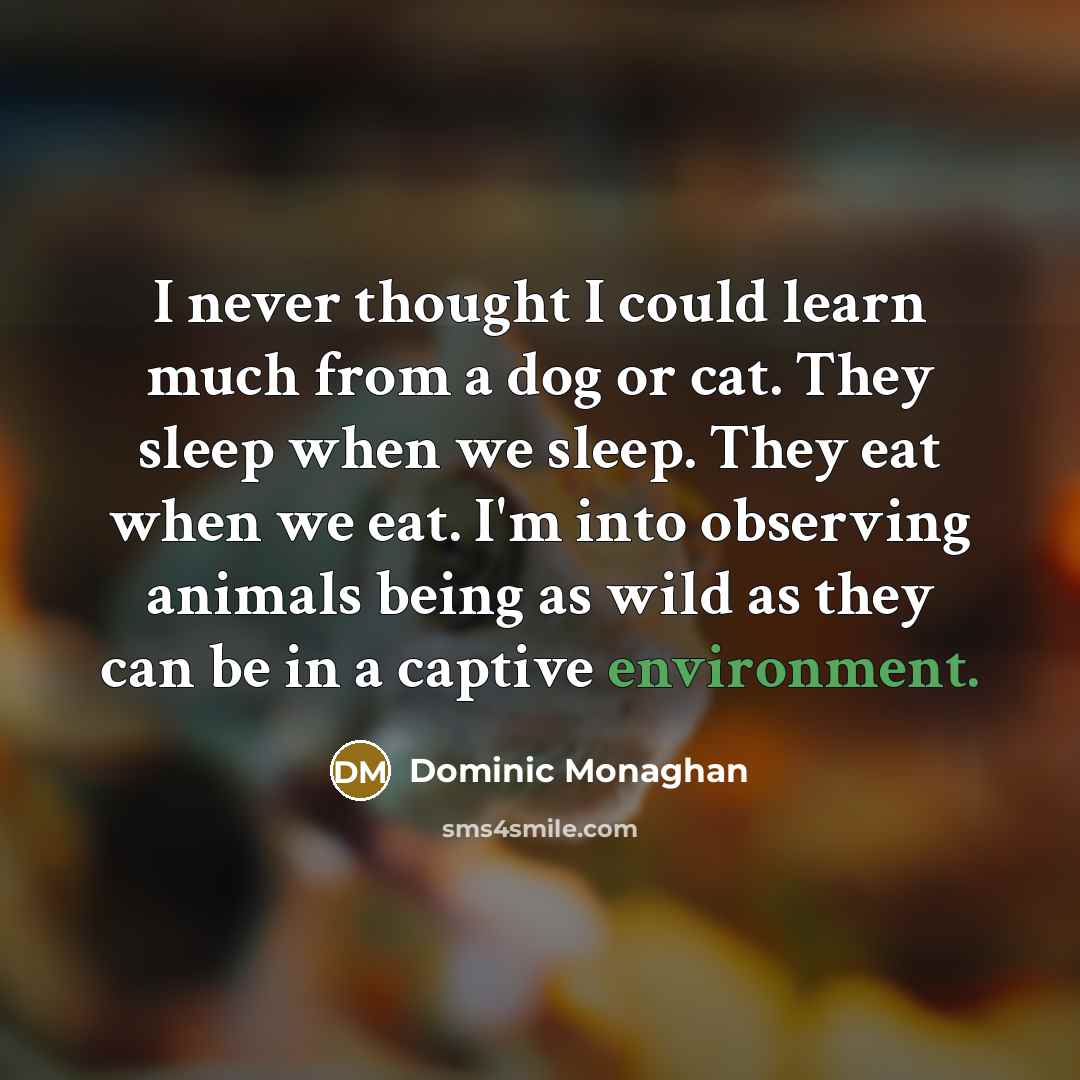 “I never thought I could learn much from a dog or cat. They sleep when we sleep. They eat when we eat. I'm into observing animals being as wild as they can be in a captive environment.” quote by Dominic Monaghan