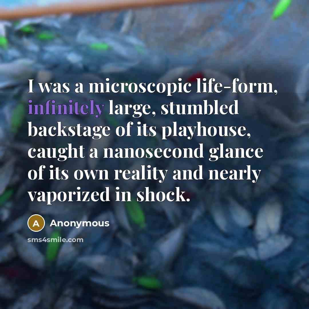 “I was a microscopic life-form, infinitely large, stumbled backstage of its playhouse, caught a nanosecond glance of its own reality and nearly vaporized in shock.” quote by Anonymous
