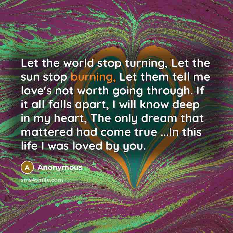 “Let the world stop turning, Let the sun stop burning, Let them tell me love's not worth going through. If it all falls apart, I will know deep in my heart, The only dream that mattered had come true ...In this life I was loved by you.” quote by Anonymous