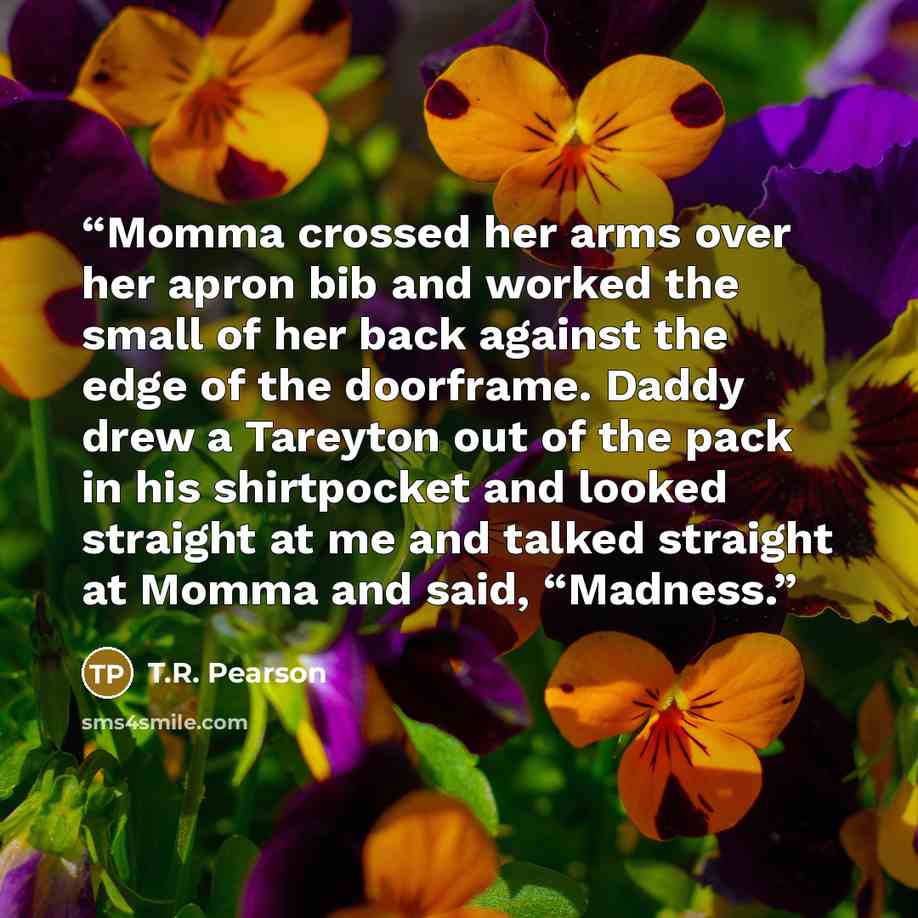 “Momma crossed her arms over her apron bib and worked the small of her back against the edge of the doorframe. Daddy drew a Tareyton out of the pack in his shirtpocket and looked straight at me and talked straight at Momma and said, “Madness.” quote by T.R. Pearson