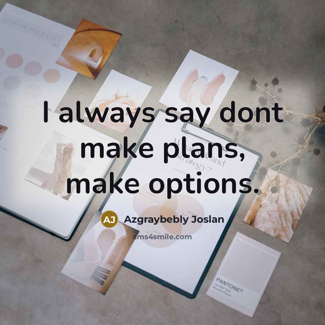 “I always say dont make plans, make options.” quote by Azgraybebly Joslan