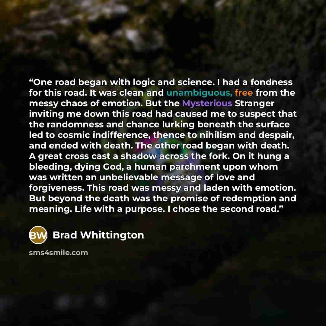 “One road began with logic and science. I had a fondness for this road. It was clean and unambiguous, free from the messy chaos of emotion. But the Mysterious Stranger inviting me down this road had caused me to suspect that the randomness and chance lurking beneath the surface led to cosmic…” quote by Brad Whittington