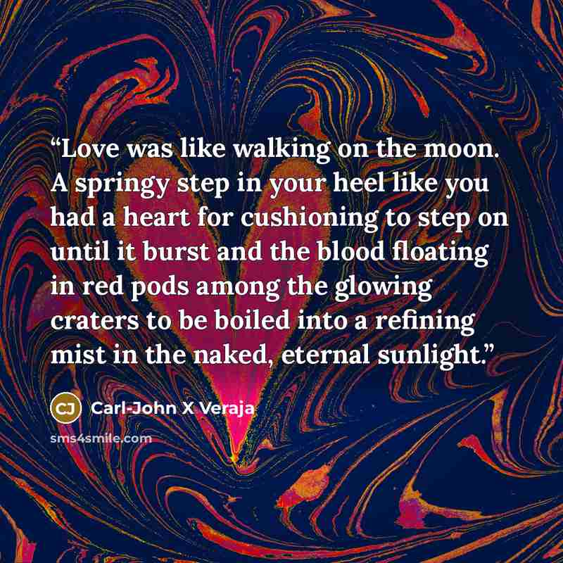 “Love was like walking on the moon. A springy step in your heel like you had a heart for cushioning to step on until it burst and the blood floating in red pods among the glowing craters to be boiled into a refining mist in the naked, eternal sunlight.” quote by Carl-John X Veraja