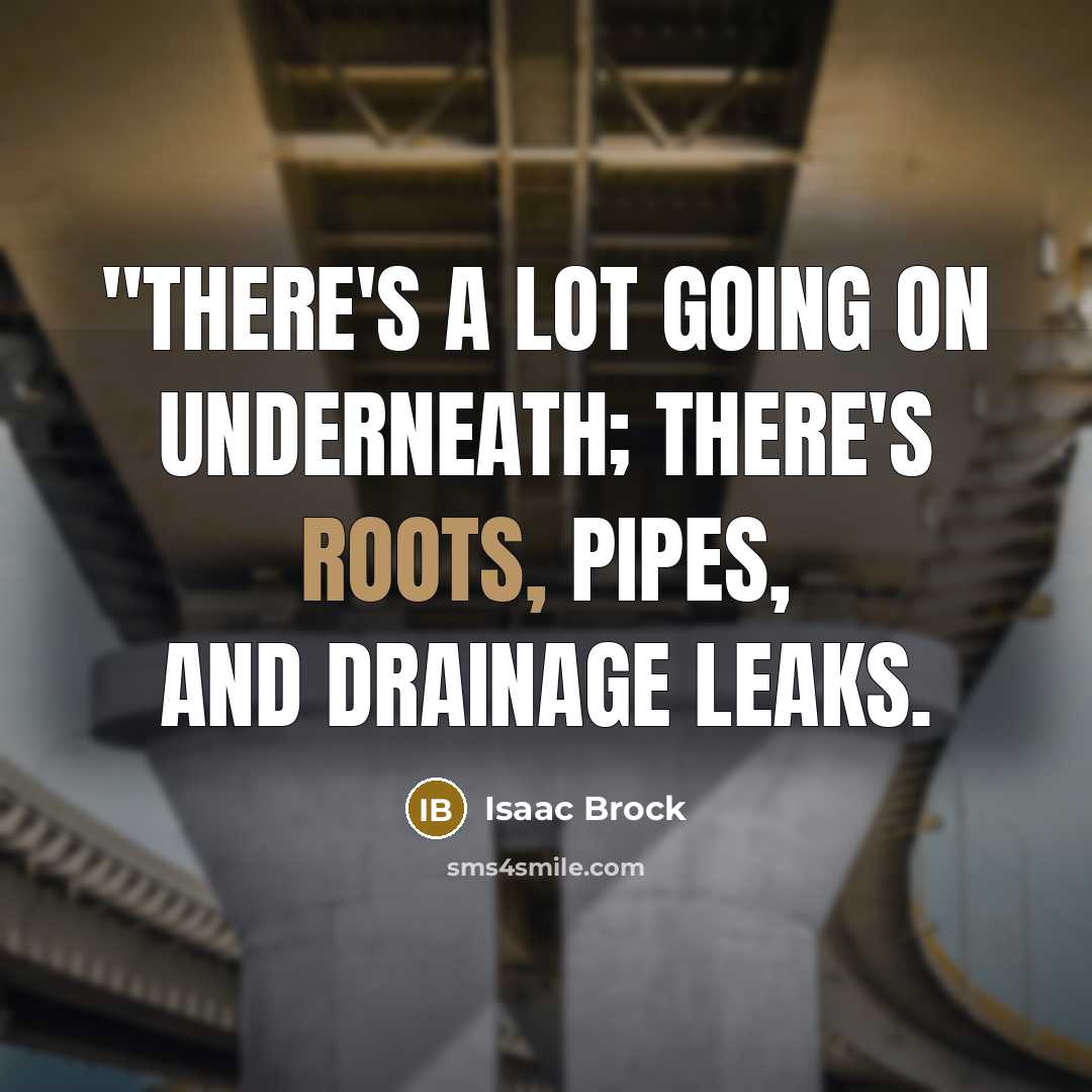 “"there's a lot going on underneath; there's roots, pipes, and drainage leaks.” quote by Isaac Brock