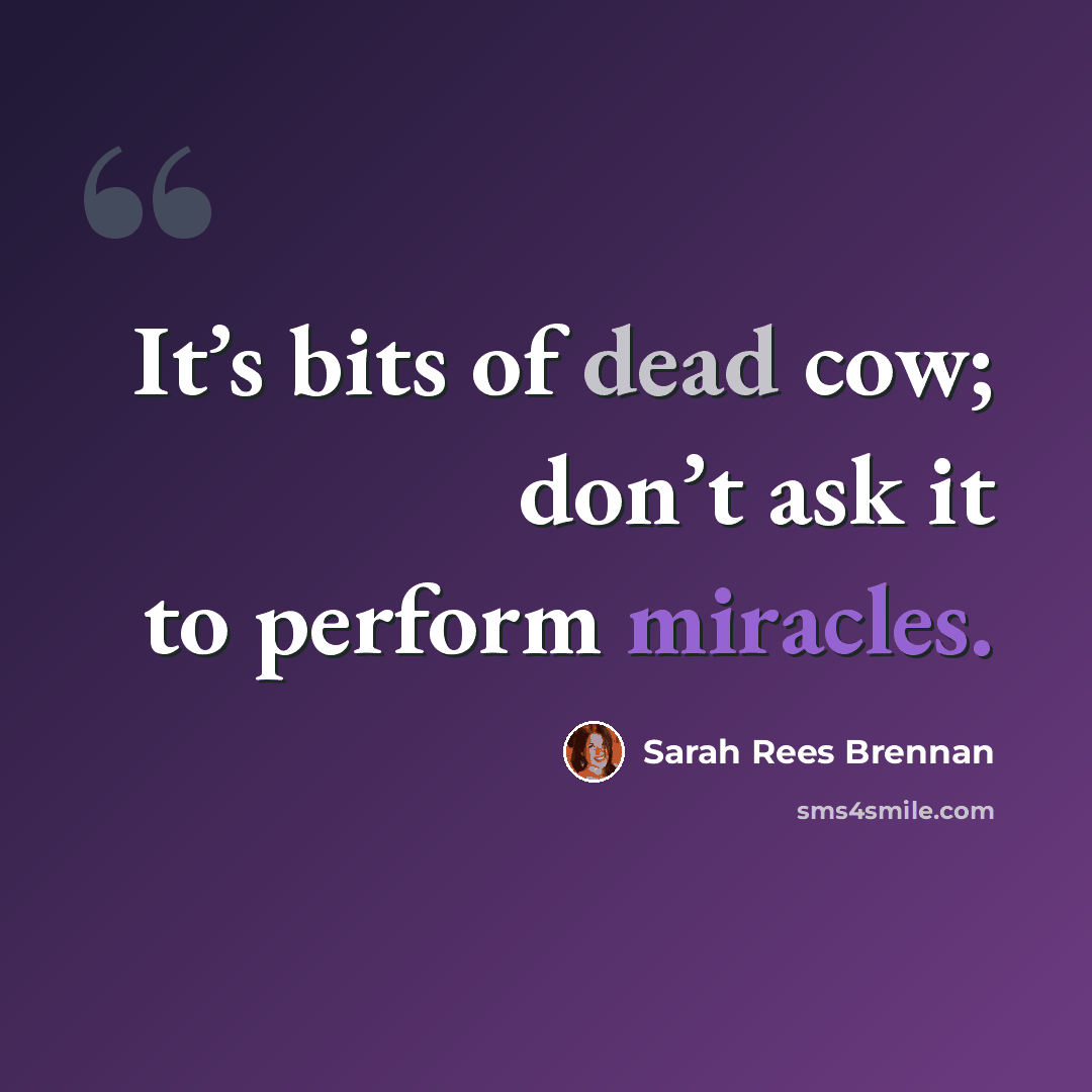 “It’s bits of dead cow; don’t ask it to perform miracles.” quote by Sarah Rees Brennan