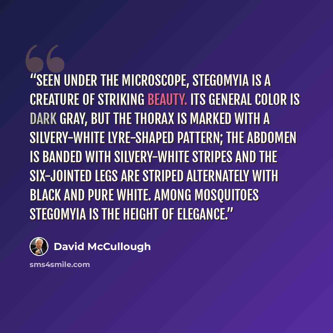 “Seen under the microscope, Stegomyia is a creature of striking beauty. Its general color is dark gray, but the thorax is marked with a silvery-white lyre-shaped pattern; the abdomen is banded with silvery-white stripes and the six-jointed legs are striped alternately with black and pure white…” quote by David McCullough