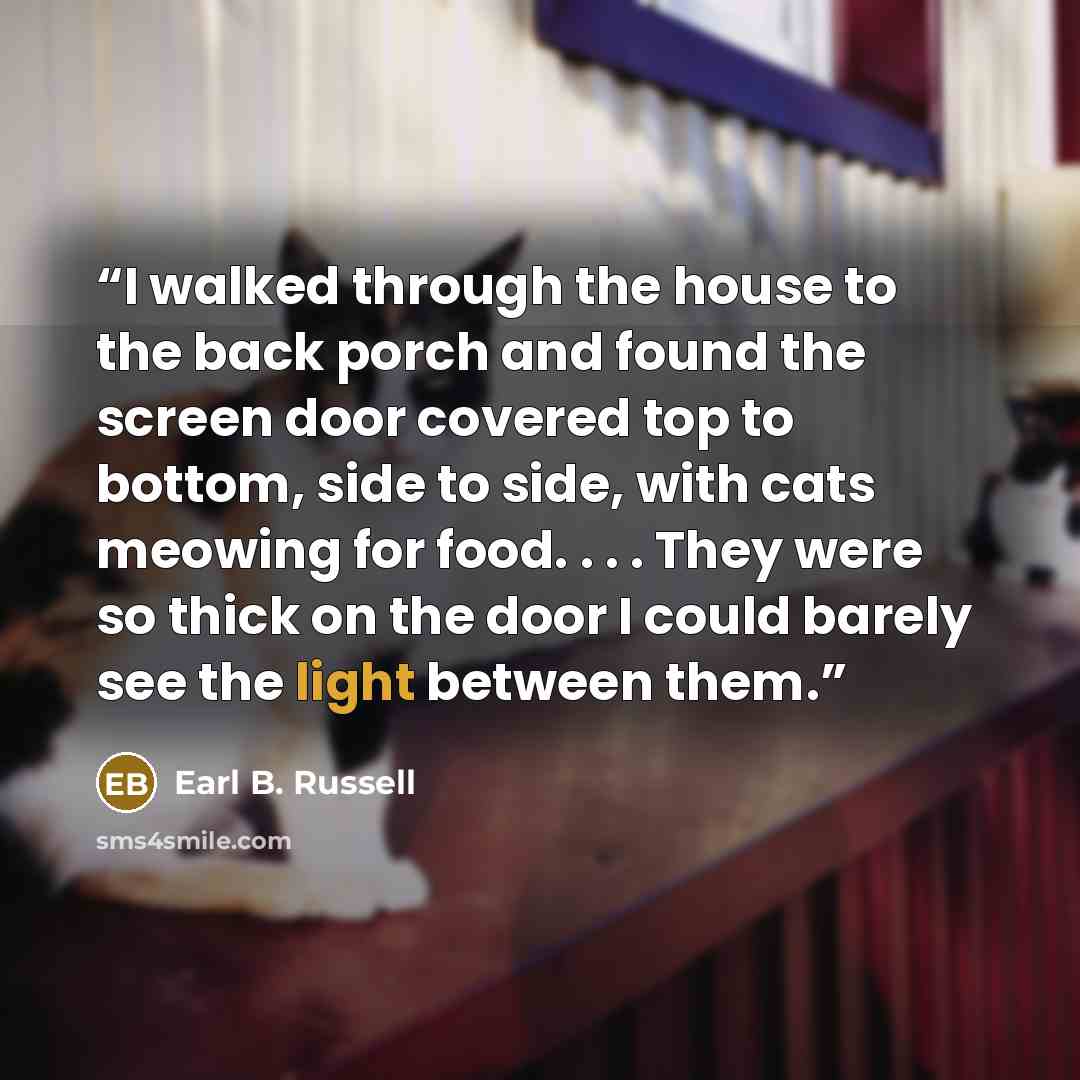 “I walked through the house to the back porch and found the screen door covered top to bottom, side to side, with cats meowing for food. . . . They were so thick on the door I could barely see the light between them.” quote by Earl B. Russell