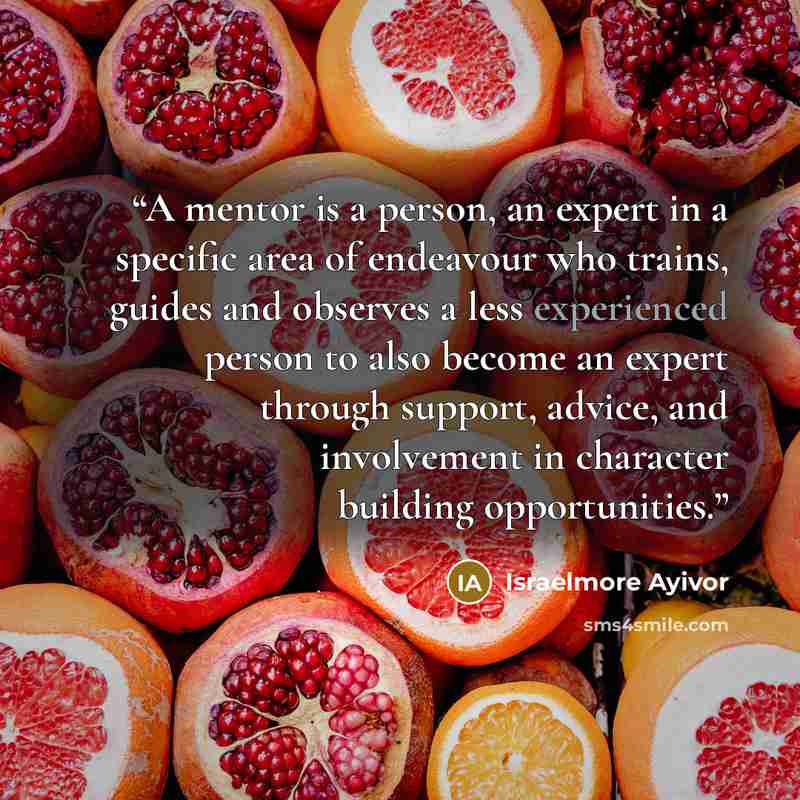 “A mentor is a person, an expert in a specific area of endeavour who trains, guides and observes a less experienced person to also become an expert through support, advice, and involvement in character building opportunities.” quote by Israelmore Ayivor