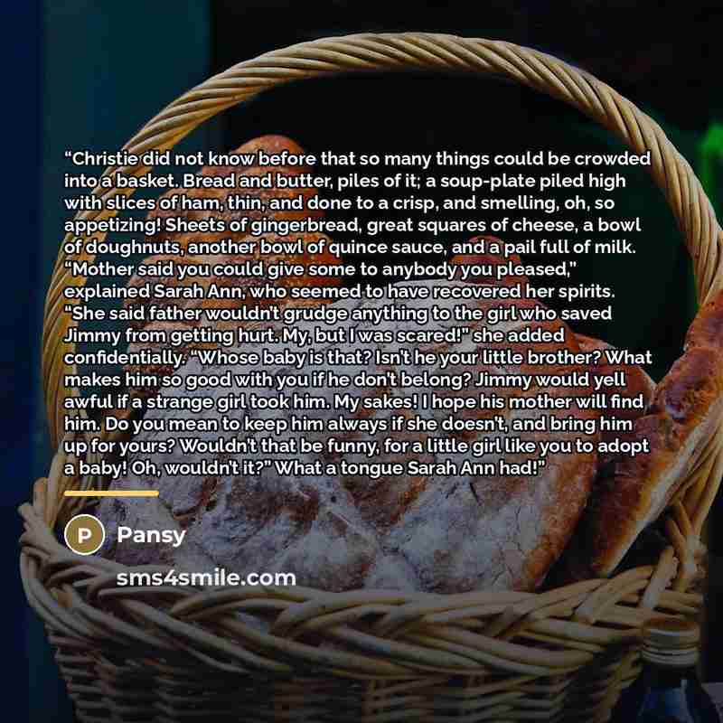 “Christie did not know before that so many things could be crowded into a basket. Bread and butter, piles of it; a soup-plate piled high with slices of ham, thin, and done to a crisp, and smelling, oh, so appetizing! Sheets of gingerbread, great squares of cheese, a bowl of doughnuts, another bowl…” quote by Pansy