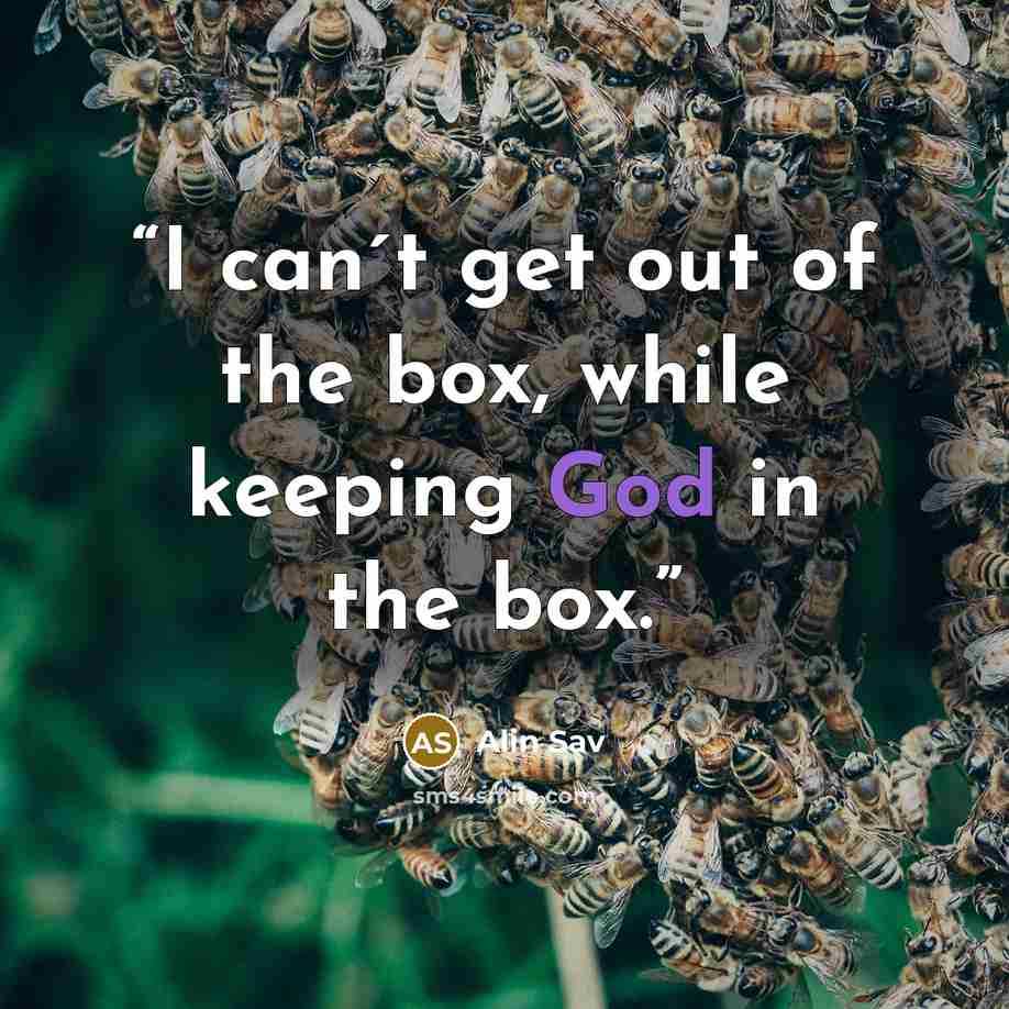 “I can´t get out of the box, while keeping God in the box.” quote by Alin Sav