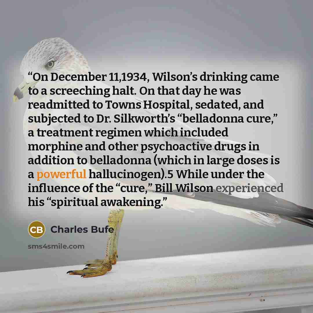 “On December 11,1934, Wilson’s drinking came to a screeching halt. On that day he was readmitted to Towns Hospital, sedated, and subjected to Dr. Silkworth’s “belladonna cure,” a treatment regimen which included morphine and other psychoactive drugs in addition to belladonna (which in large doses…” quote by Charles Bufe