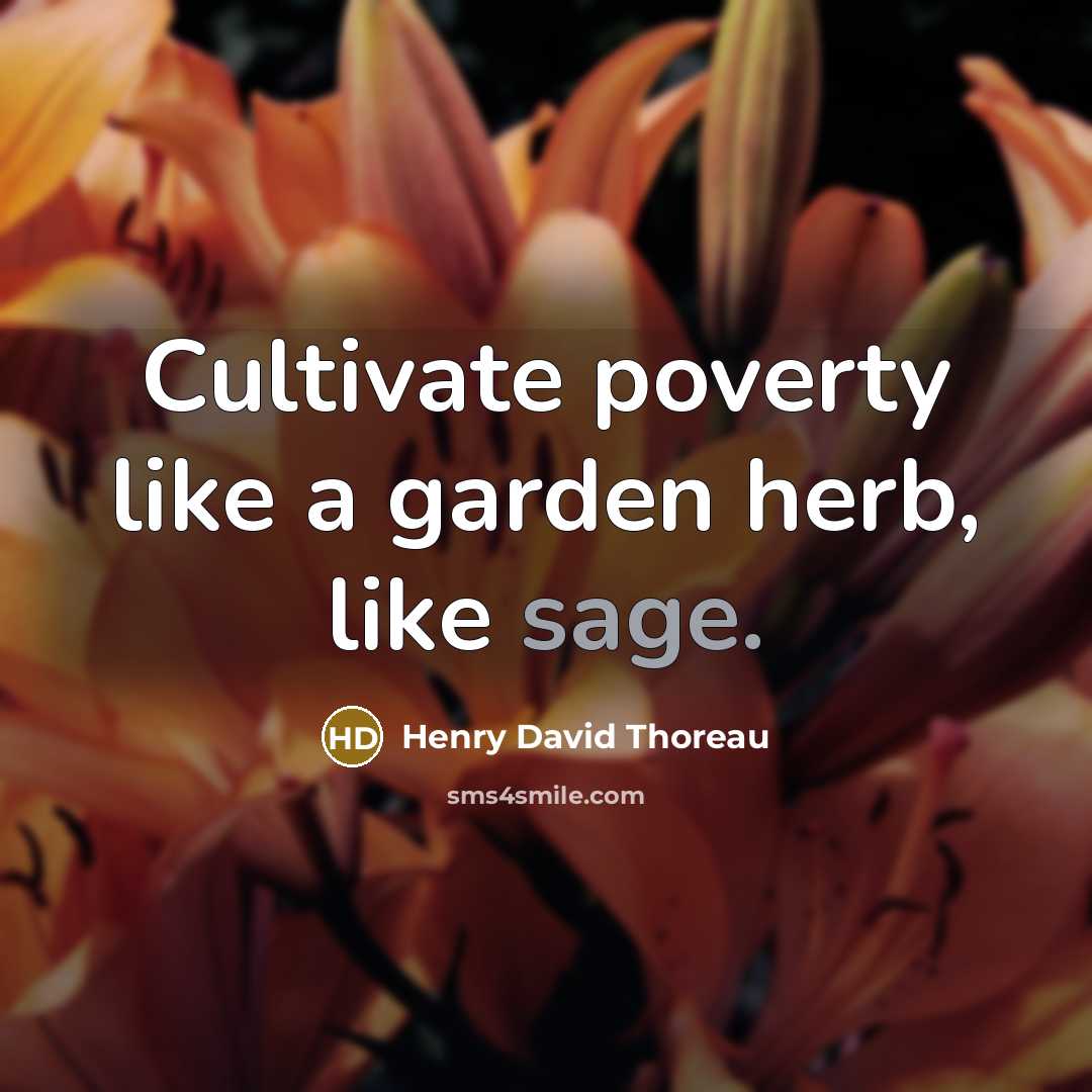 “Cultivate poverty like a garden herb, like sage.” quote by Henry David Thoreau