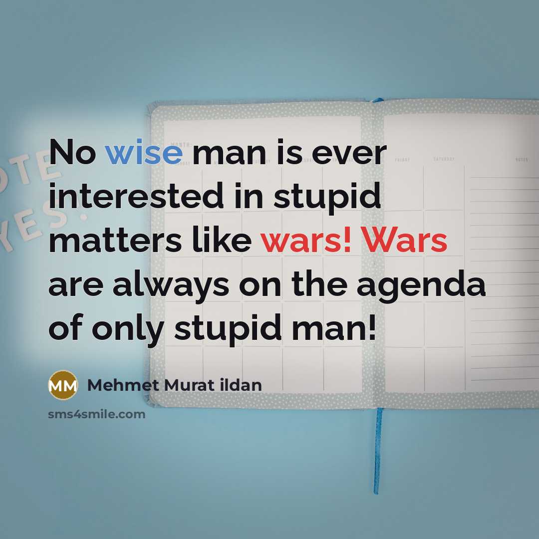 “No wise man is ever interested in stupid matters like wars! Wars are always on the agenda of only stupid man!” quote by Mehmet Murat Ildan