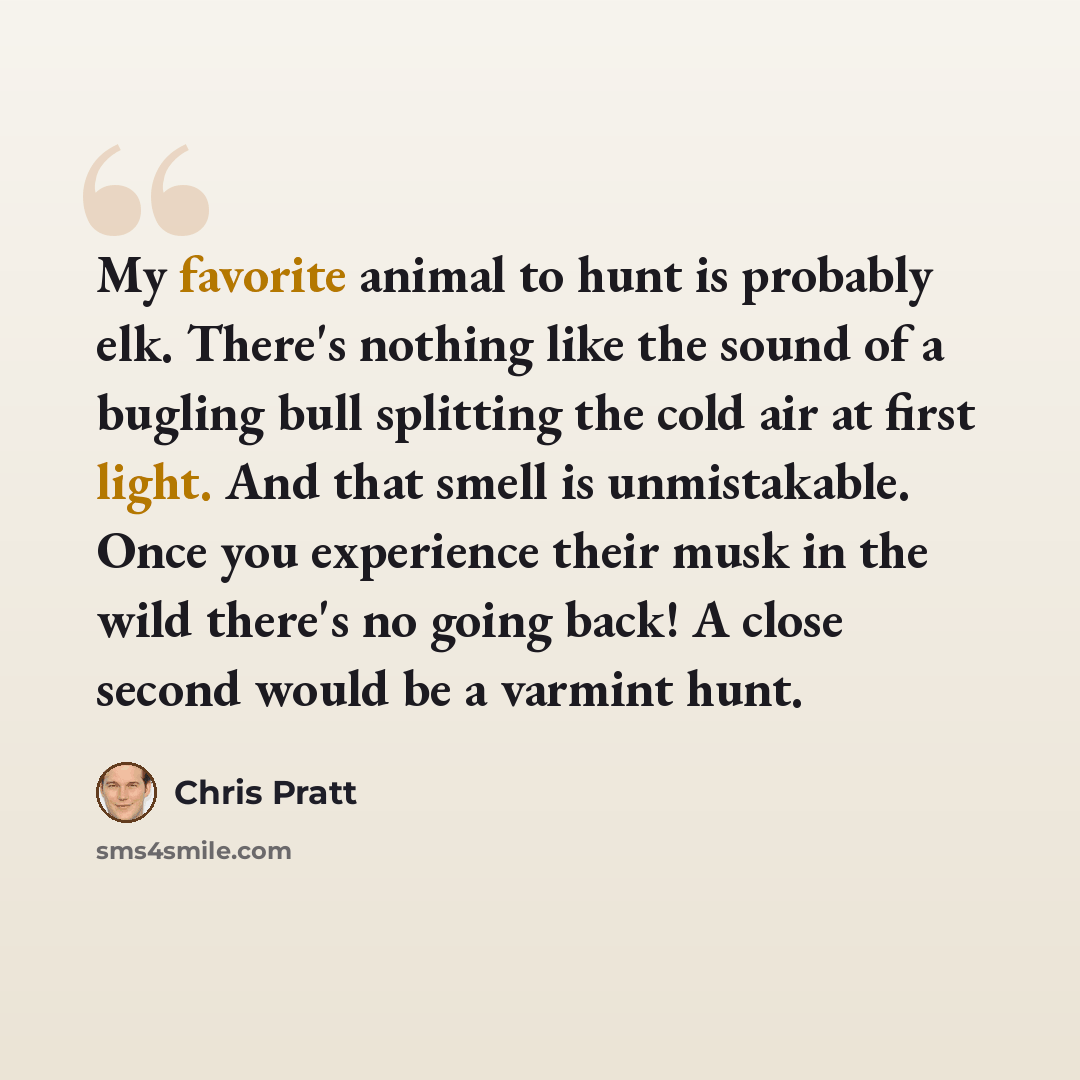 “My favorite animal to hunt is probably elk. There's nothing like the sound of a bugling bull splitting the cold air at first light. And that smell is unmistakable. Once you experience their musk in the wild there's no going back! A close second would be a varmint hunt.” quote by Chris Pratt