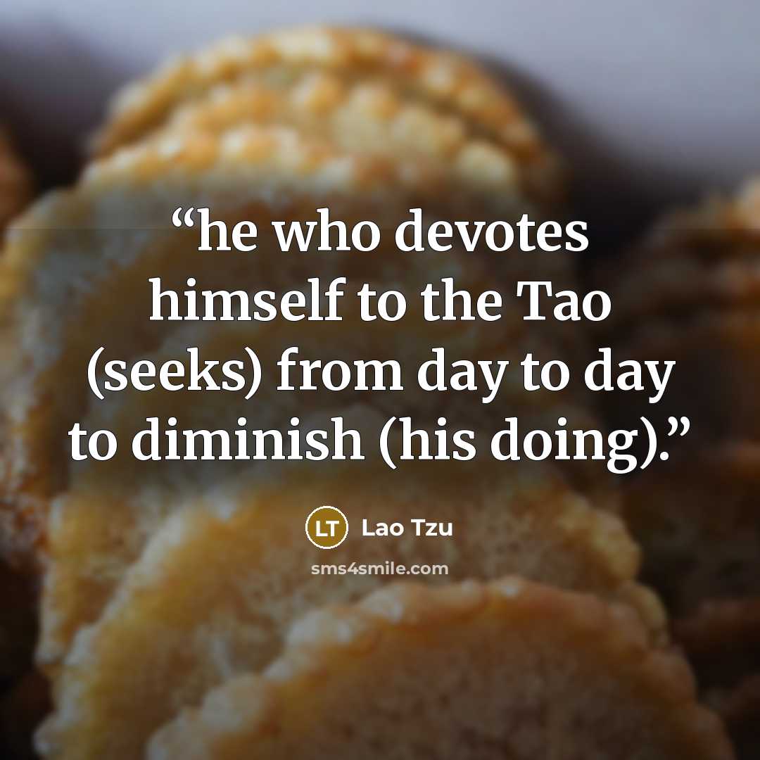 “he who devotes himself to the Tao (seeks) from day to day to diminish (his doing).” quote by Lao Tzu