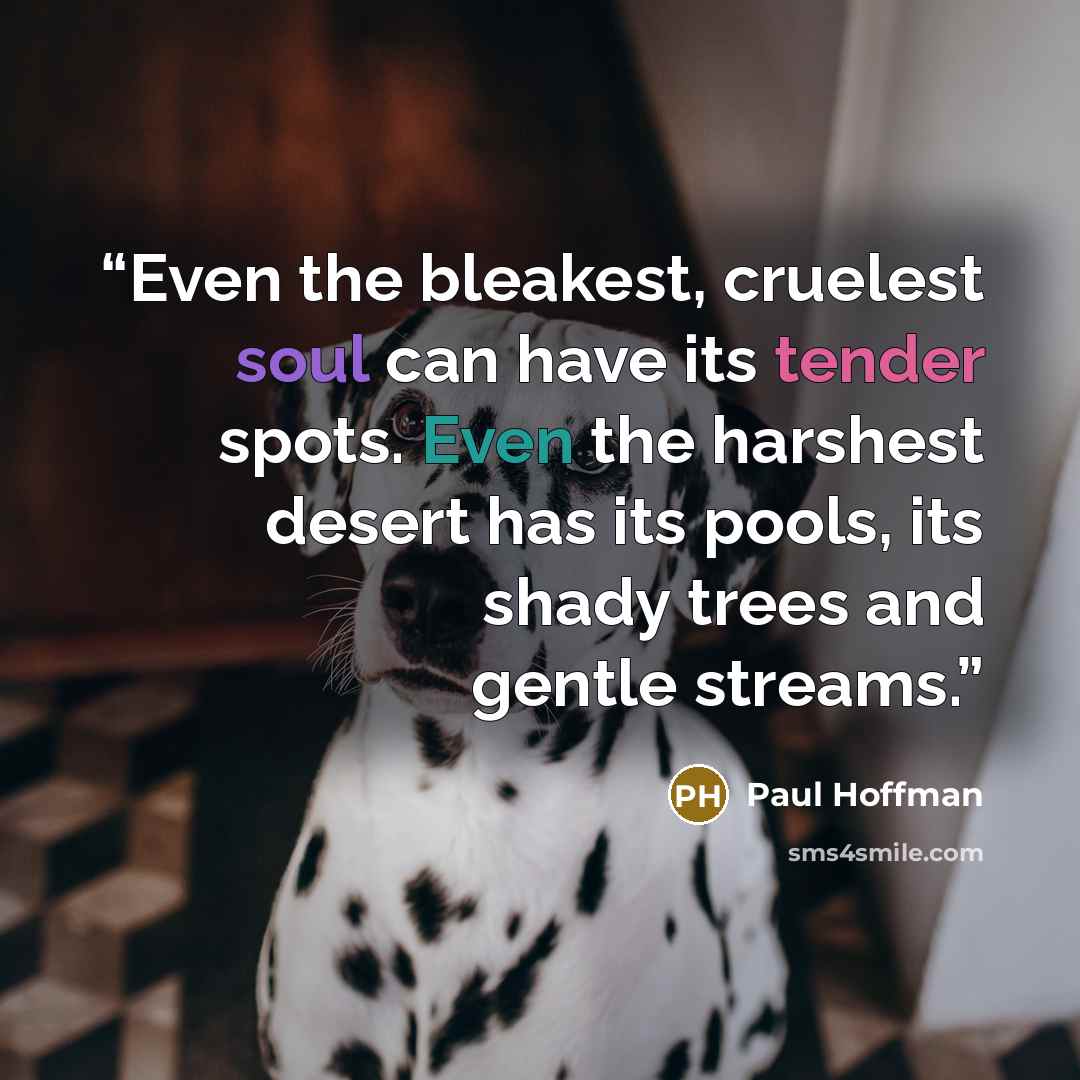 “Even the bleakest, cruelest soul can have its tender spots. Even the harshest desert has its pools, its shady trees and gentle streams.” quote by Paul Hoffman