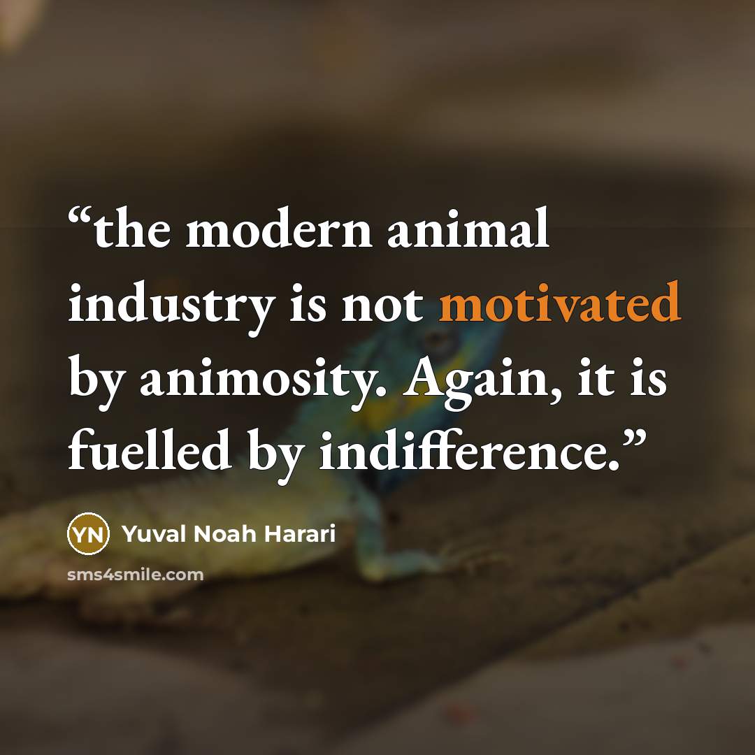 “the modern animal industry is not motivated by animosity. Again, it is fuelled by indifference.” quote by Yuval Noah Harari