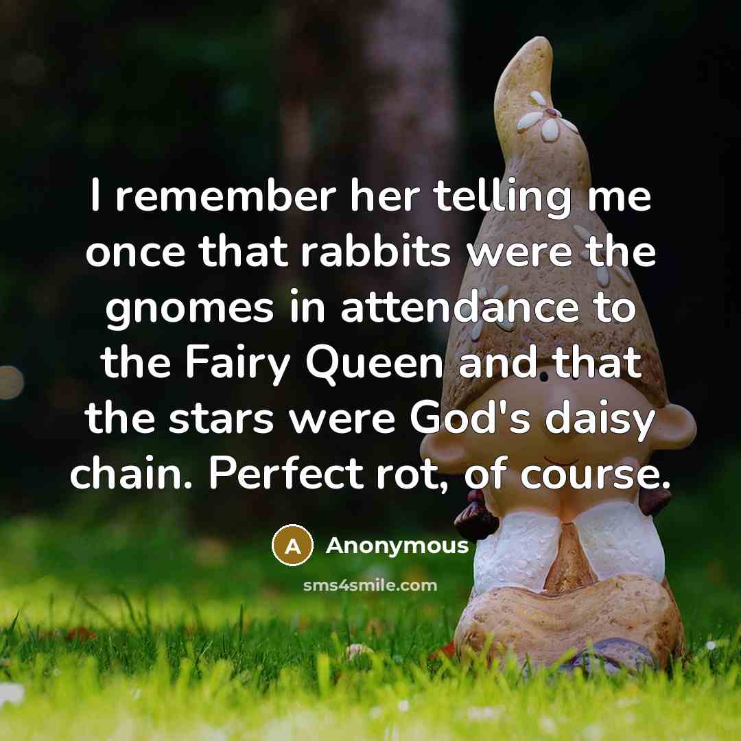 “I remember her telling me once that rabbits were the gnomes in attendance to the Fairy Queen and that the stars were God's daisy chain. Perfect rot, of course.” quote by Anonymous