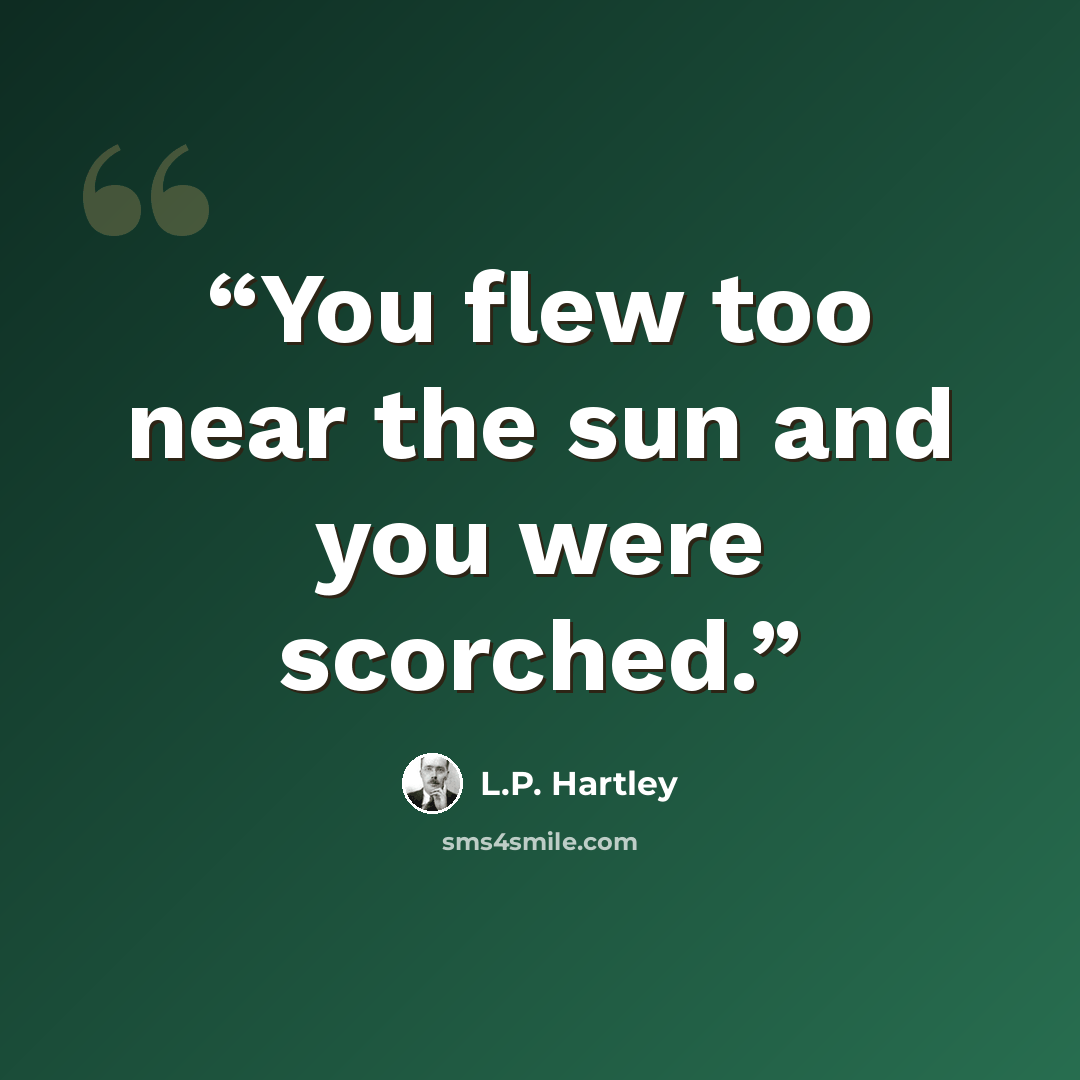 “You flew too near the sun and you were scorched.” quote by L.P. Hartley