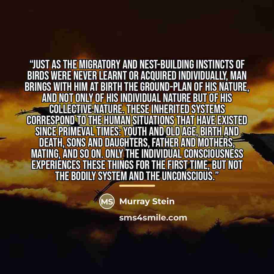 “Just as the migratory and nest-building instincts of birds were never learnt or acquired individually, man brings with him at birth the ground-plan of his nature, and not only of his individual nature but of his collective nature. These inherited systems correspond to the human situations that…” quote by Murray Stein