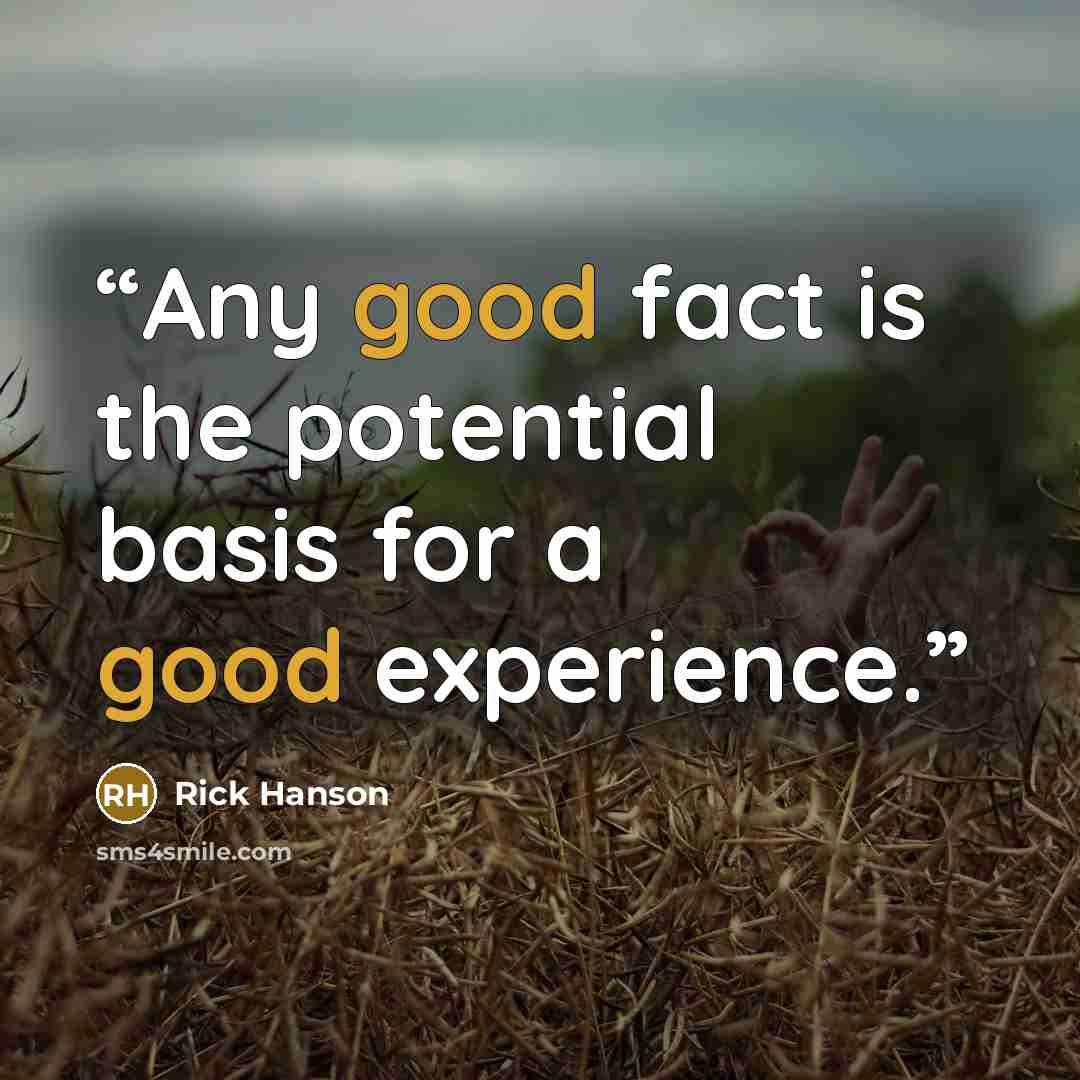 “Any good fact is the potential basis for a good experience.” quote by Rick Hanson