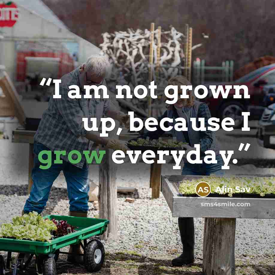 “I am not grown up, because I grow everyday.” quote by Alin Sav