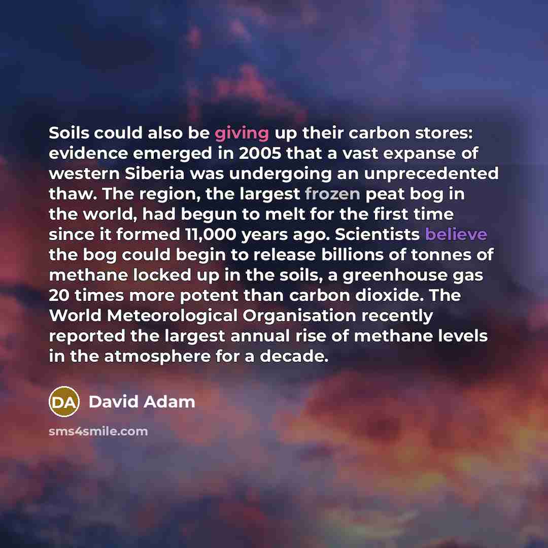 “Soils could also be giving up their carbon stores: evidence emerged in 2005 that a vast expanse of western Siberia was undergoing an unprecedented thaw. The region, the largest frozen peat bog in the world, had begun to melt for the first time since it formed 11,000 years ago. Scientists believe…” quote by David Adam
