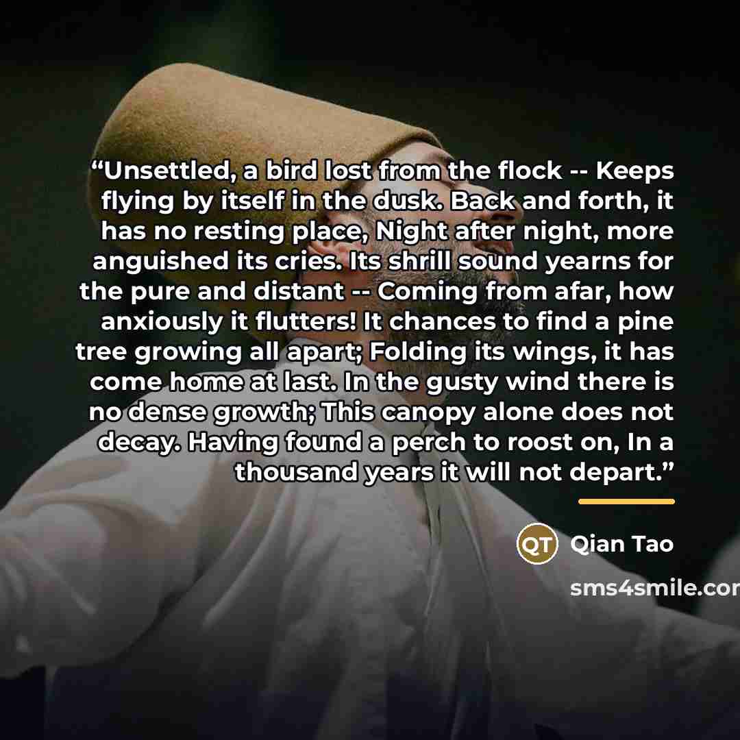 “Unsettled, a bird lost from the flock -- Keeps flying by itself in the dusk. Back and forth, it has no resting place, Night after night, more anguished its cries. Its shrill sound yearns for the pure and distant -- Coming from afar, how anxiously it flutters! It chances to find a pine tree growing…” quote by Qian Tao