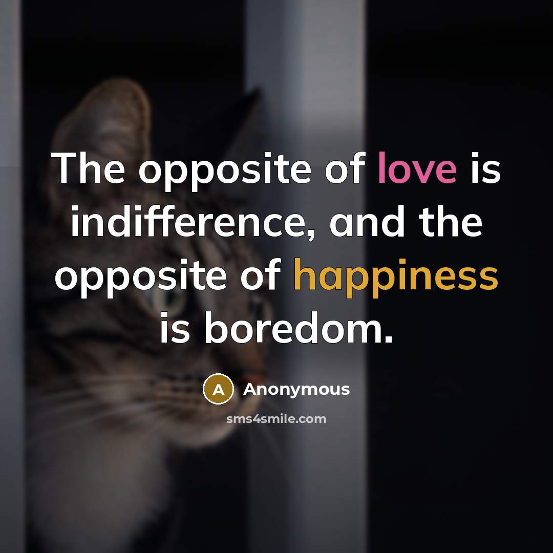 “The opposite of love is indifference, and the opposite of happiness is boredom.” quote by Anonymous