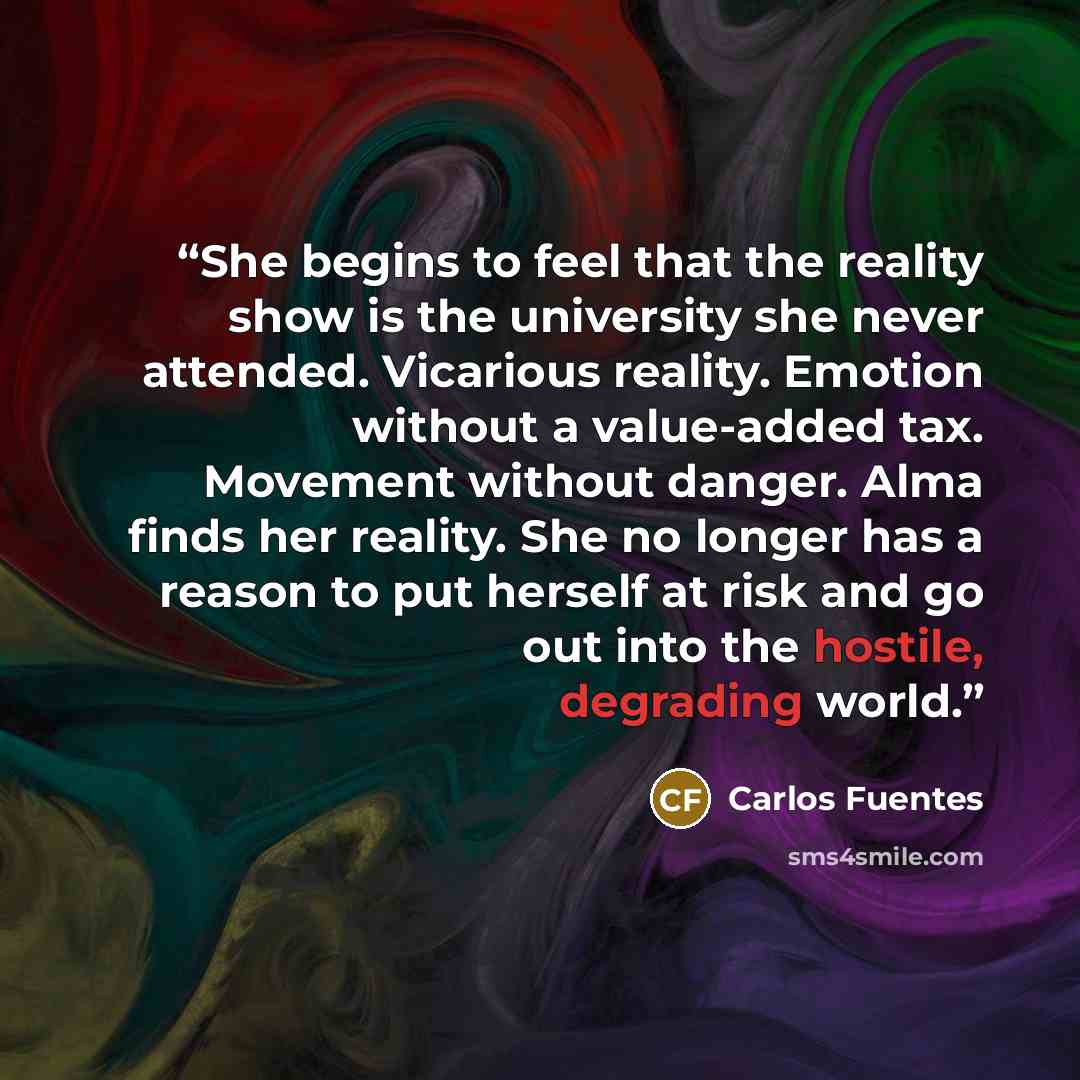 “She begins to feel that the reality show is the university she never attended. Vicarious reality. Emotion without a value-added tax. Movement without danger. Alma finds her reality. She no longer has a reason to put herself at risk and go out into the hostile, degrading world.” quote by Carlos Fuentes