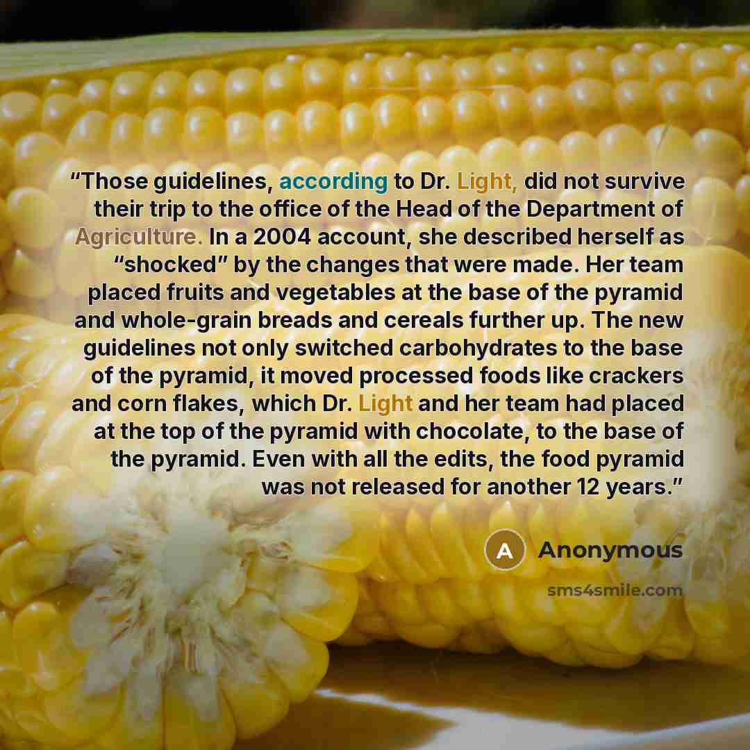 “Those guidelines, according to Dr. Light, did not survive their trip to the office of the Head of the Department of Agriculture. In a 2004 account, she described herself as “shocked” by the changes that were made. Her team placed fruits and vegetables at the base of the pyramid and whole-grain…” quote by Anonymous