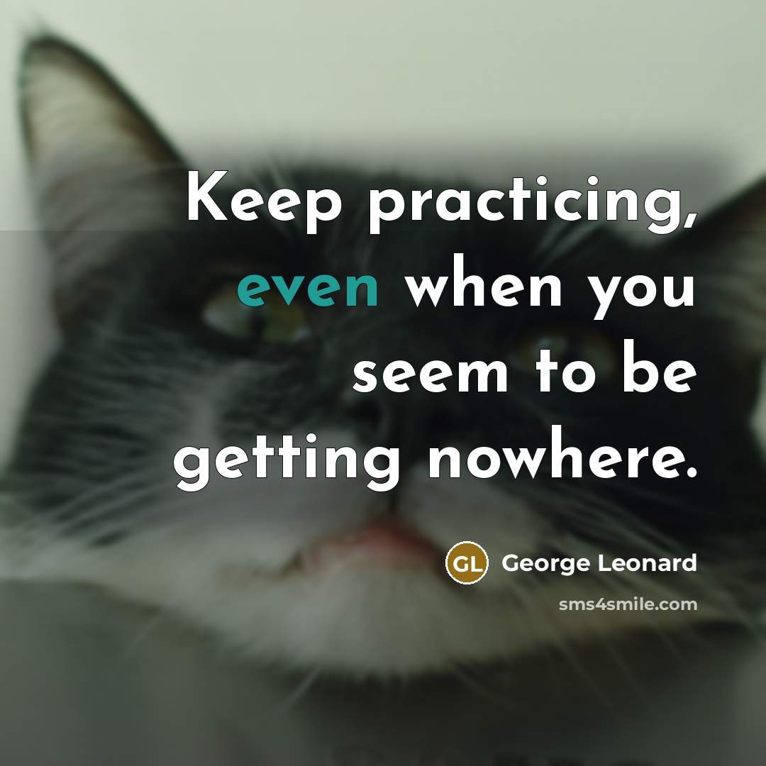 “Keep practicing, even when you seem to be getting nowhere.” quote by George Leonard