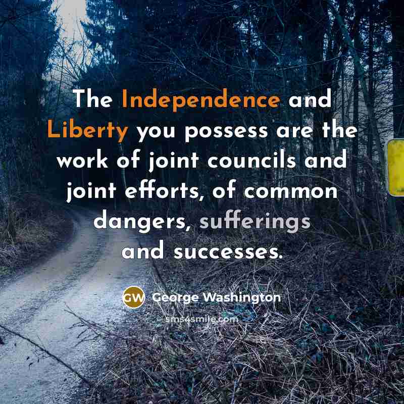 “The Independence and Liberty you possess are the work of joint councils and joint efforts, of common dangers, sufferings and successes.” quote by George Washington