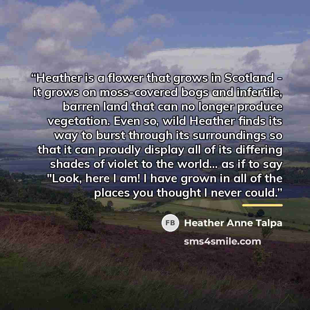 “Heather is a flower that grows in Scotland - it grows on moss-covered bogs and infertile, barren land that can no longer produce vegetation. Even so, wild Heather finds its way to burst through its surroundings so that it can proudly display all of its differing shades of violet to the world... as…” quote by Heather Anne Talpa