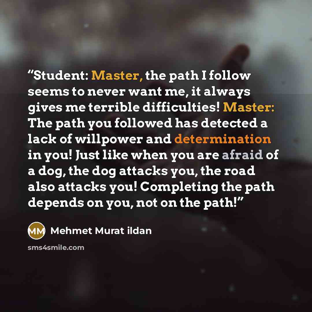 “Student: Master, the path I follow seems to never want me, it always gives me terrible difficulties! Master: The path you followed has detected a lack of willpower and determination in you! Just like when you are afraid of a dog, the dog attacks you, the road also attacks you! Completing the path…” quote by Mehmet Murat ildan