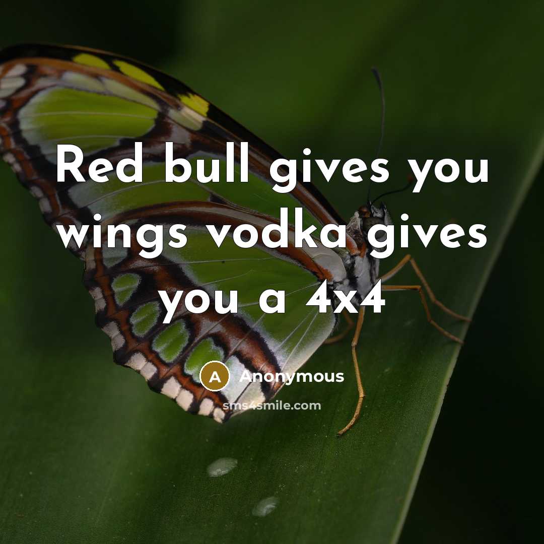 “Red bull gives you wings vodka gives you a 4x4” quote by Anonymous