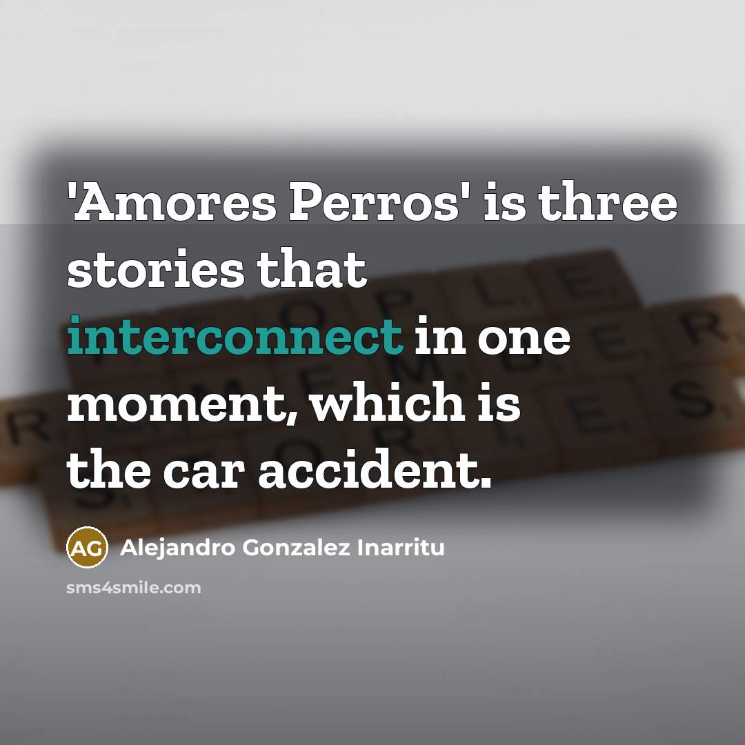 “'Amores Perros' is three stories that interconnect in one moment, which is the car accident.” quote by Alejandro Gonzalez Inarritu