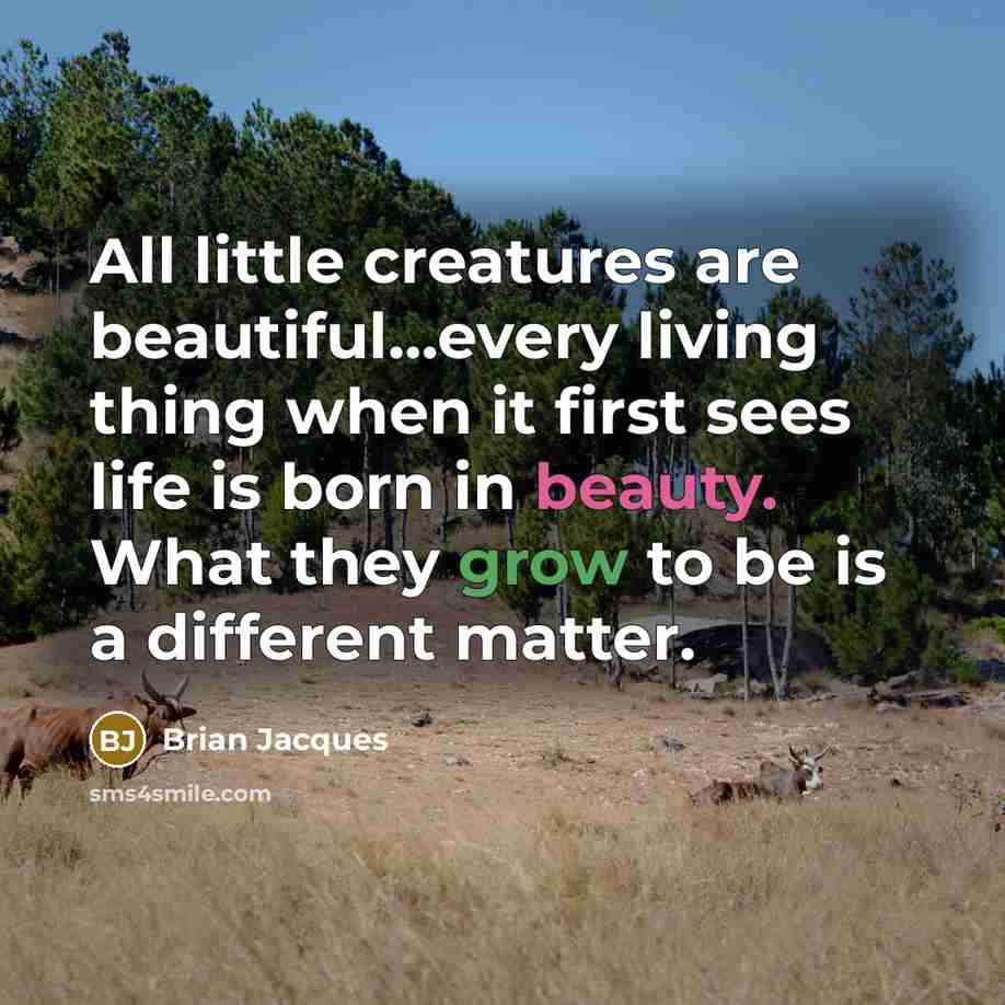 “All little creatures are beautiful...every living thing when it first sees life is born in beauty. What they grow to be is a different matter.” quote by Brian Jacques