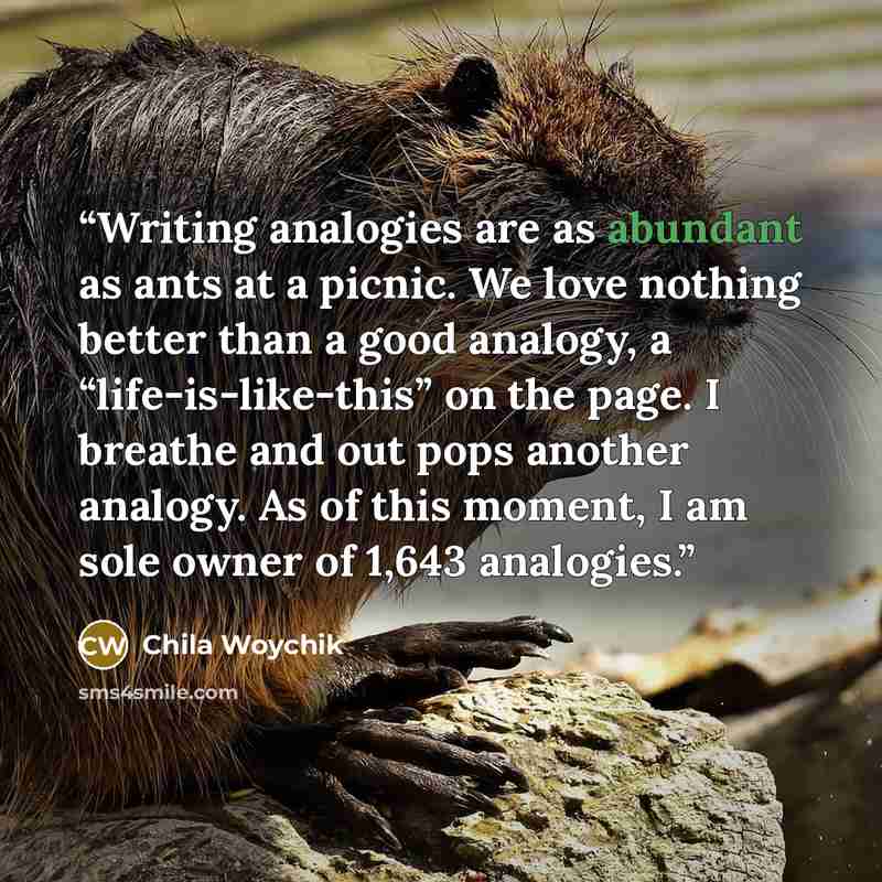 “Writing analogies are as abundant as ants at a picnic. We love nothing better than a good analogy, a “life-is-like-this” on the page. I breathe and out pops another analogy. As of this moment, I am sole owner of 1,643 analogies.” quote by Chila Woychik