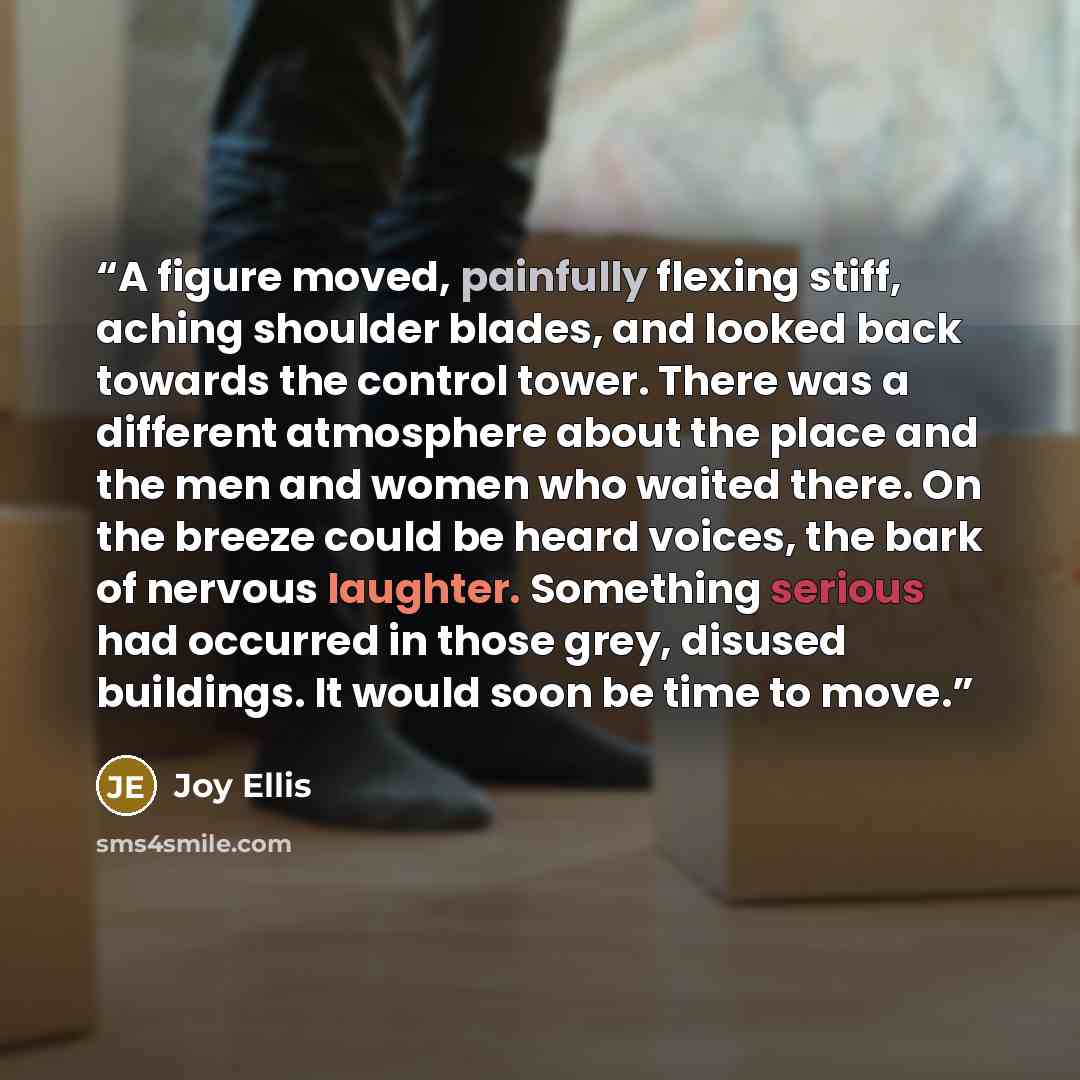 “A figure moved, painfully flexing stiff, aching shoulder blades, and looked back towards the control tower. There was a different atmosphere about the place and the men and women who waited there. On the breeze could be heard voices, the bark of nervous laughter. Something serious had occurred in…” quote by Joy Ellis