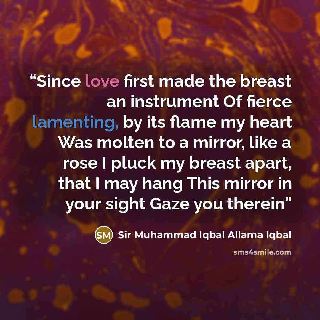 “Since love first made the breast an instrument Of fierce lamenting, by its flame my heart Was molten to a mirror, like a rose I pluck my breast apart, that I may hang This mirror in your sight Gaze you therein” quote by Sir Muhammad Iqbal Allama Iqbal