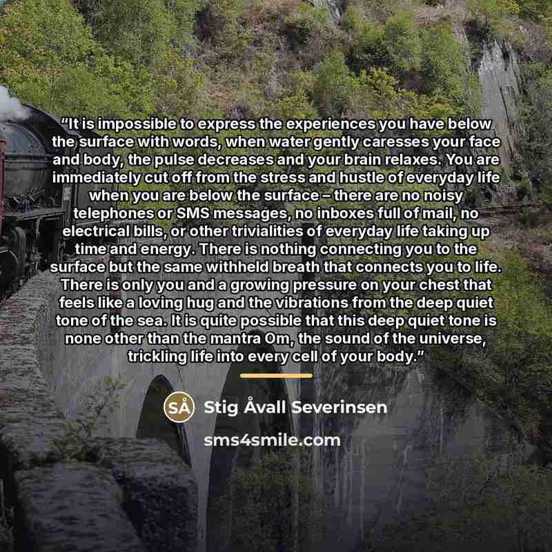 “It is impossible to express the experiences you have below the surface with words, when water gently caresses your face and body, the pulse decreases and your brain relaxes. You are immediately cut off from the stress and hustle of everyday life when you are below the surface – there are no noisy…” quote by Stig Åvall Severinsen
