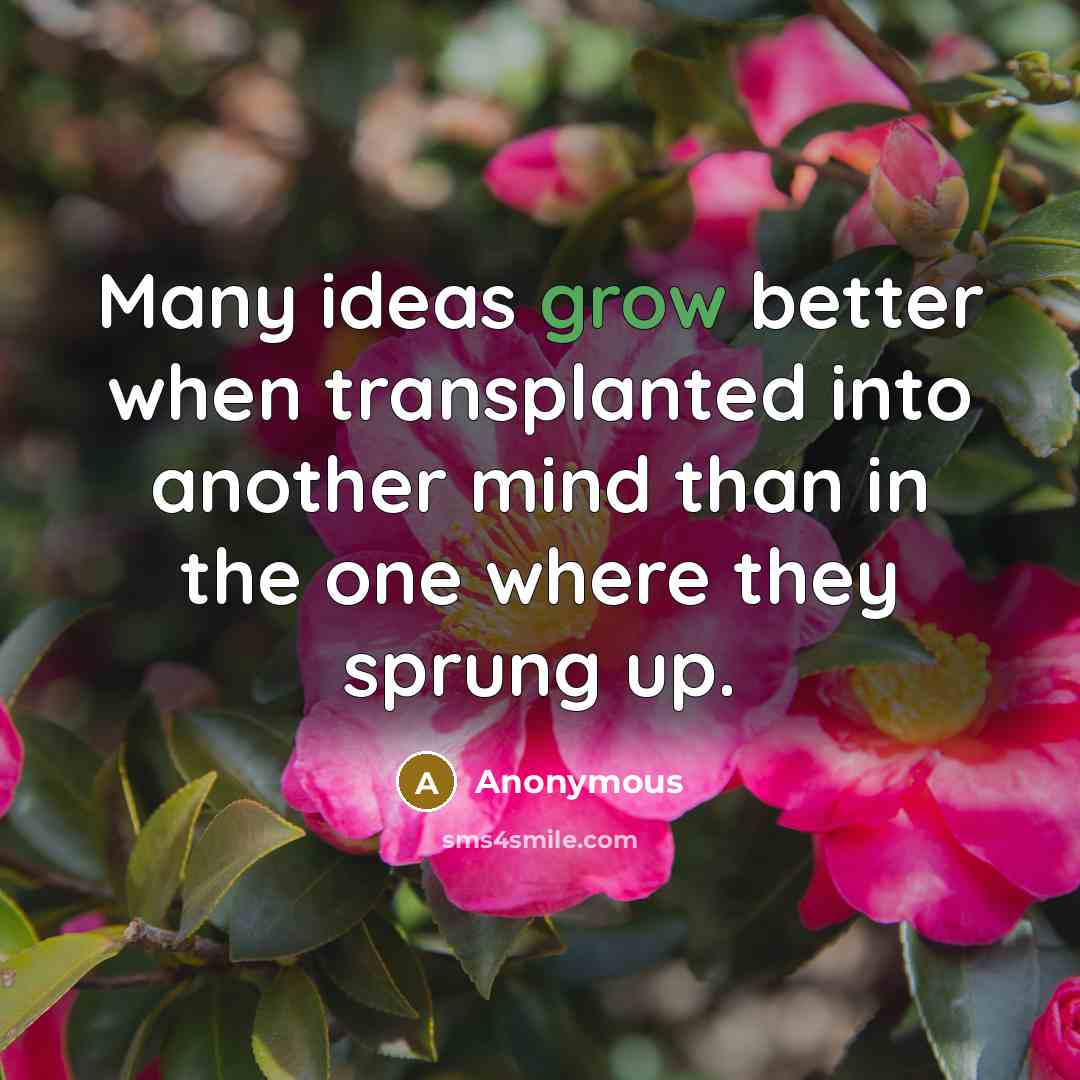 “Many ideas grow better when transplanted into another mind than in the one where they sprung up.” quote by Anonymous