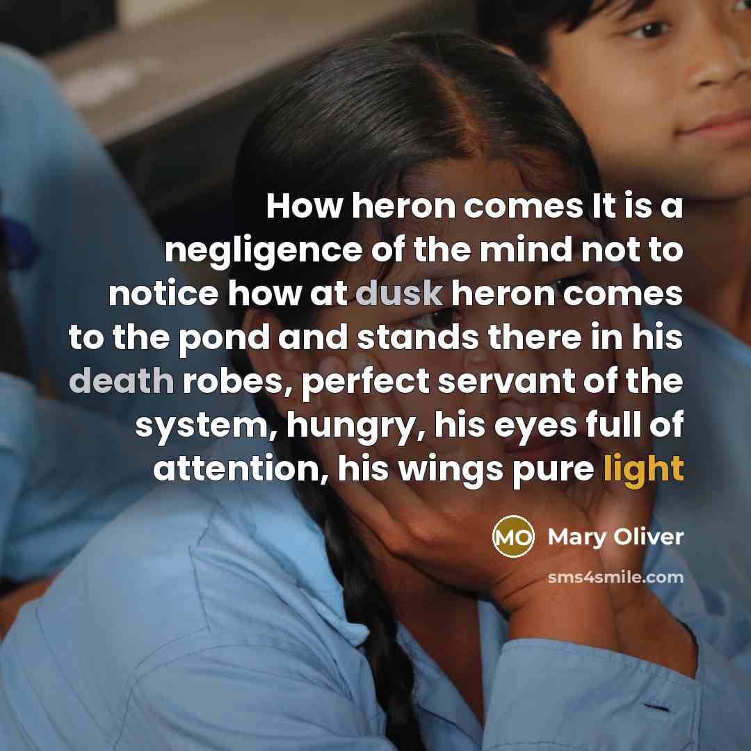 “How heron comes It is a negligence of the mind not to notice how at dusk heron comes to the pond and stands there in his death robes, perfect servant of the system, hungry, his eyes full of attention, his wings pure light” quote by Mary Oliver