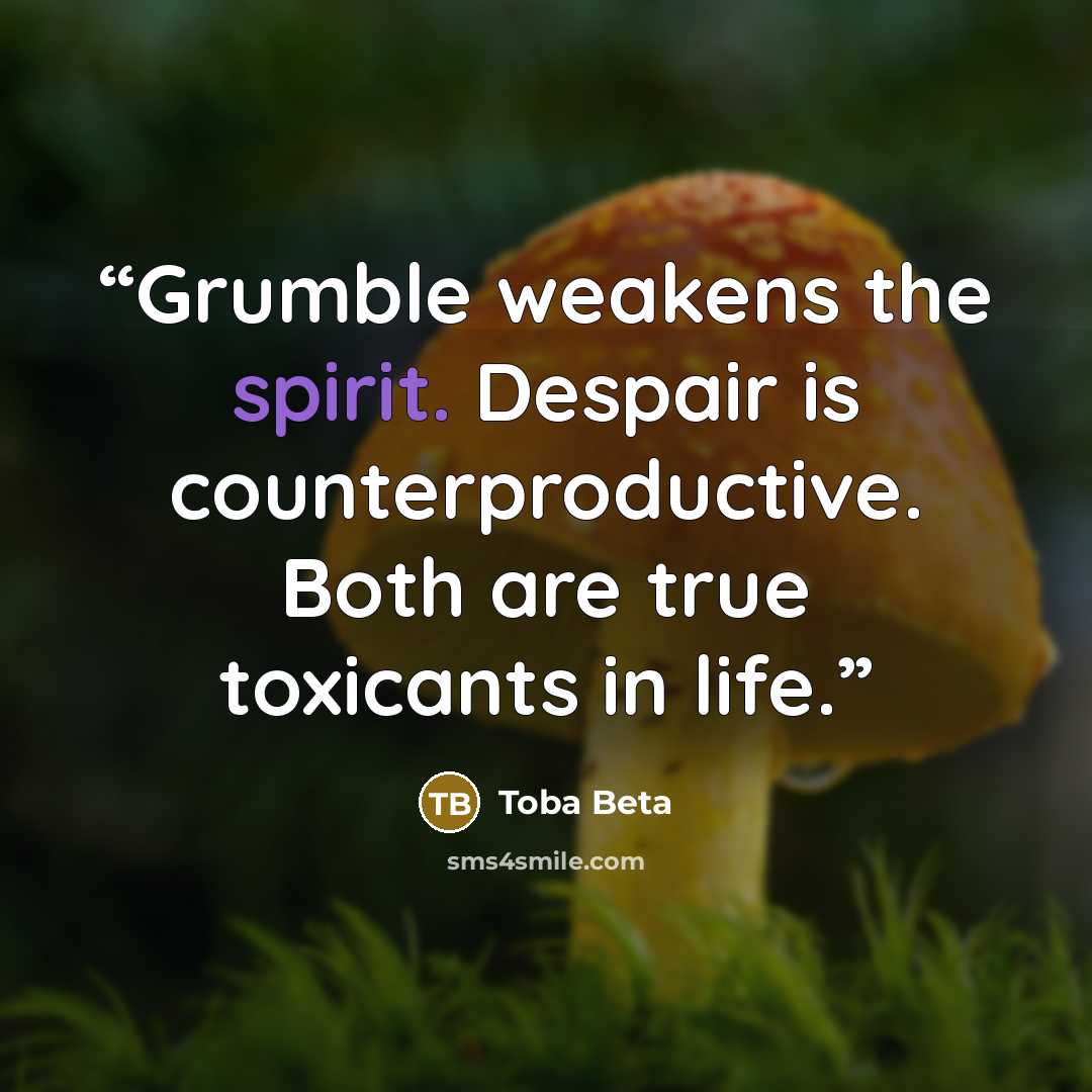“Grumble weakens the spirit. Despair is counterproductive. Both are true toxicants in life.” quote by Toba Beta