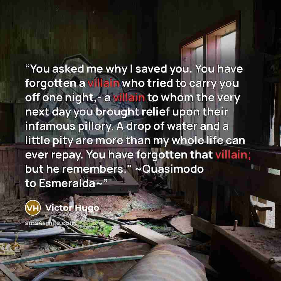 “You asked me why I saved you. You have forgotten a villain who tried to carry you off one night,- a villain to whom the very next day you brought relief upon their infamous pillory. A drop of water and a little pity are more than my whole life can ever repay. You have forgotten that villain; but…” quote by Victor Hugo